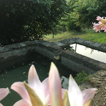 Relax Nella Natura Bolano 外观 照片