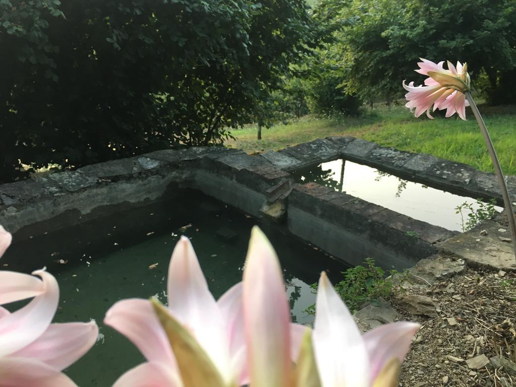 Relax Nella Natura Bolano 外观 照片
